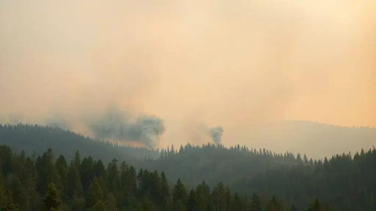 Pattern of increasing wildfire smoke days: what to know